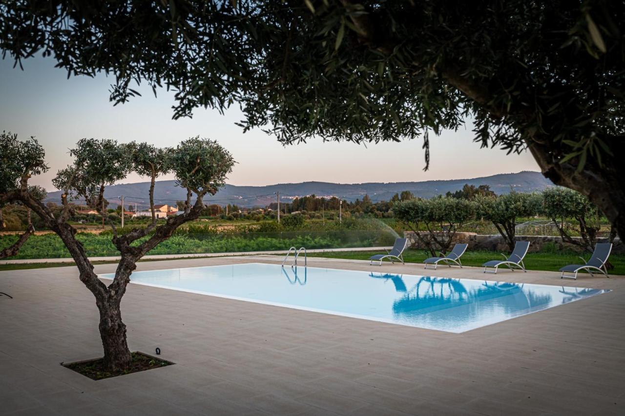 Quinta Das Oliveiras Turismo Rural 푼다오 외부 사진