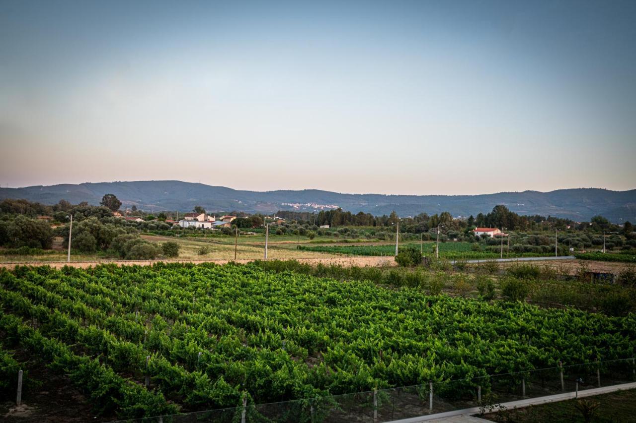 Quinta Das Oliveiras Turismo Rural 호텔 푼다오 외부 사진