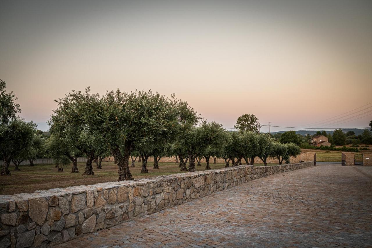 Quinta Das Oliveiras Turismo Rural 호텔 푼다오 외부 사진