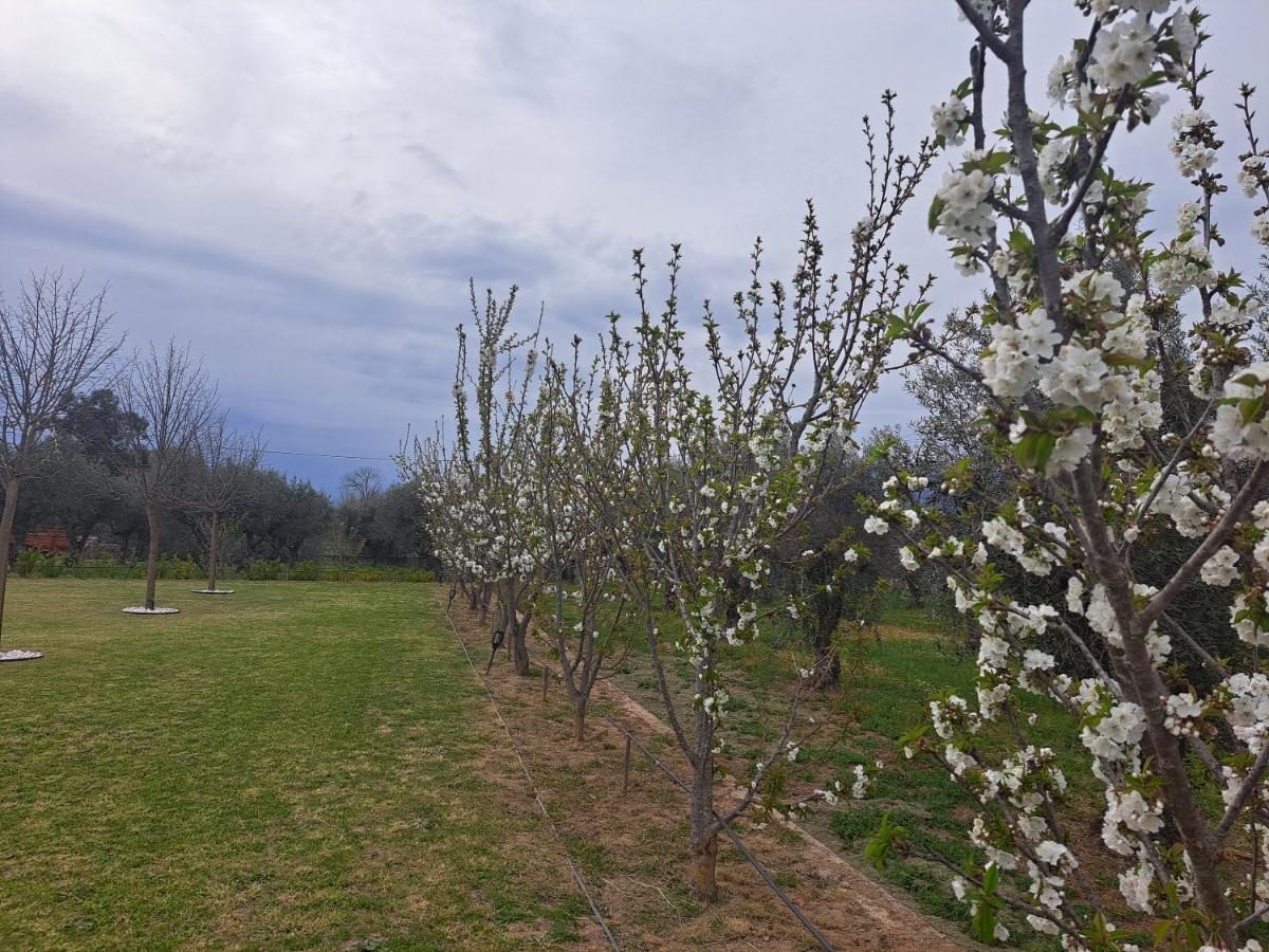 Quinta Das Oliveiras Turismo Rural 호텔 푼다오 외부 사진