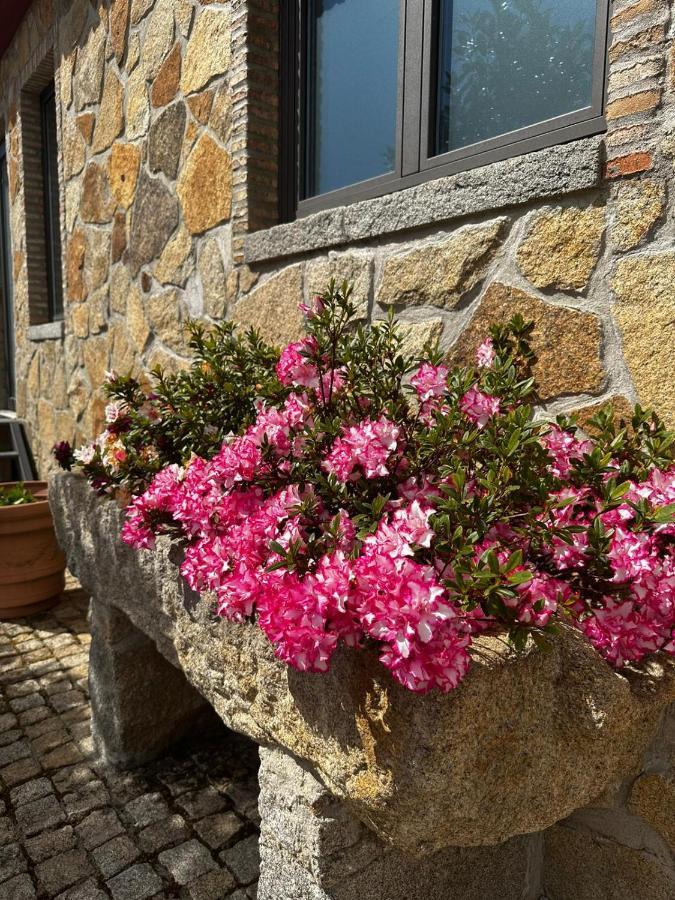 Quinta Das Oliveiras Turismo Rural 푼다오 외부 사진